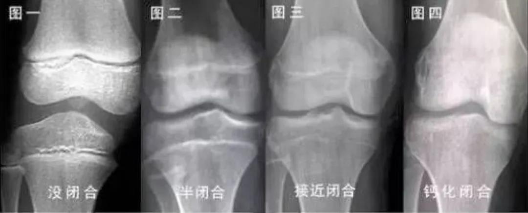 1592358767118053.jpg 3.jpg