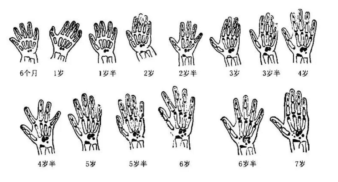 1592358795955004.jpg 4.jpg