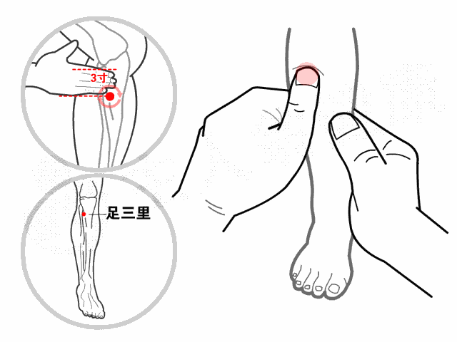 足三里 2分钟.gif